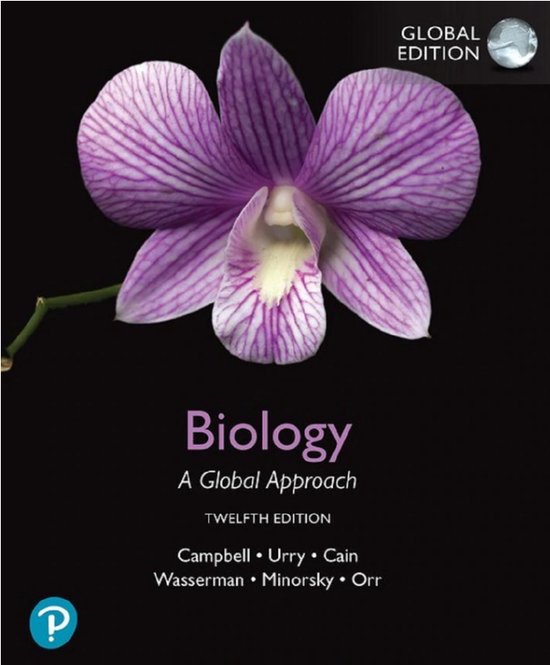 Fontys Applied Sciences Pack 1 2021, custom edition